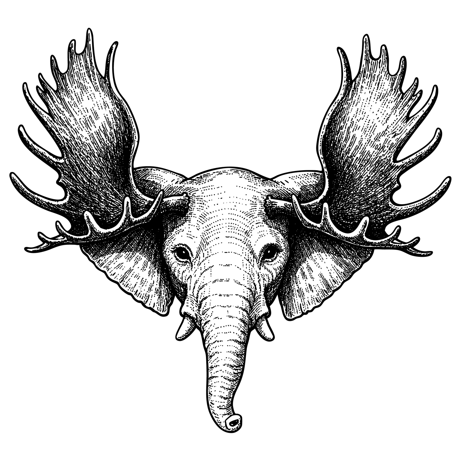 Éléphant Élan